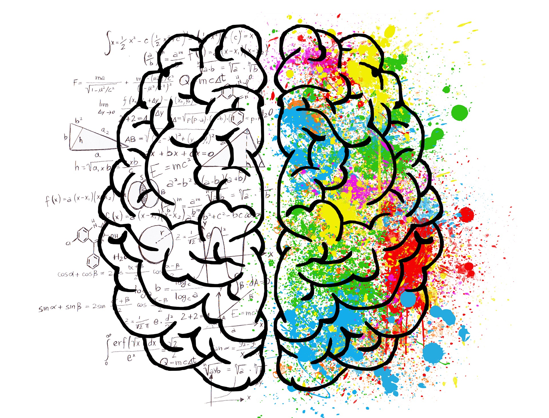 Semana Mundial Del Cerebro Visto De Otro Lado